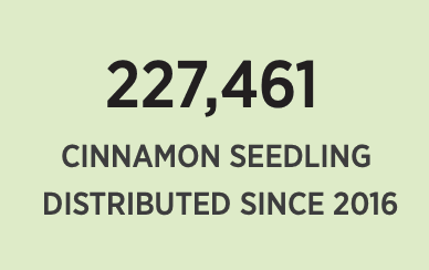 Tripper Cinnamon Seedling Distributed